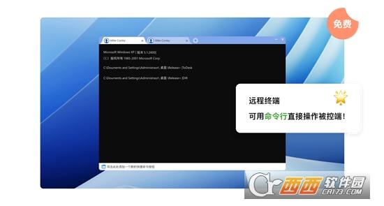 艾尔登法环,ToDesk,远控.