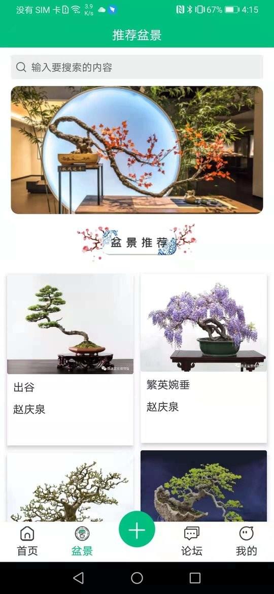 盆景世界app下载,盆景世界,花草app,盆景app